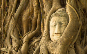 Asahna Bucha Day