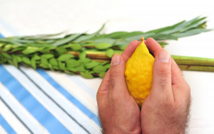 Sukkot